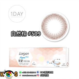 星歐 1Day 自然系列 自然棕 #509